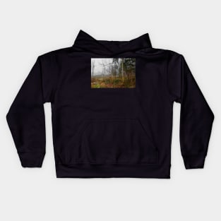 Winter Woodland in Carinthia, Austria Kids Hoodie